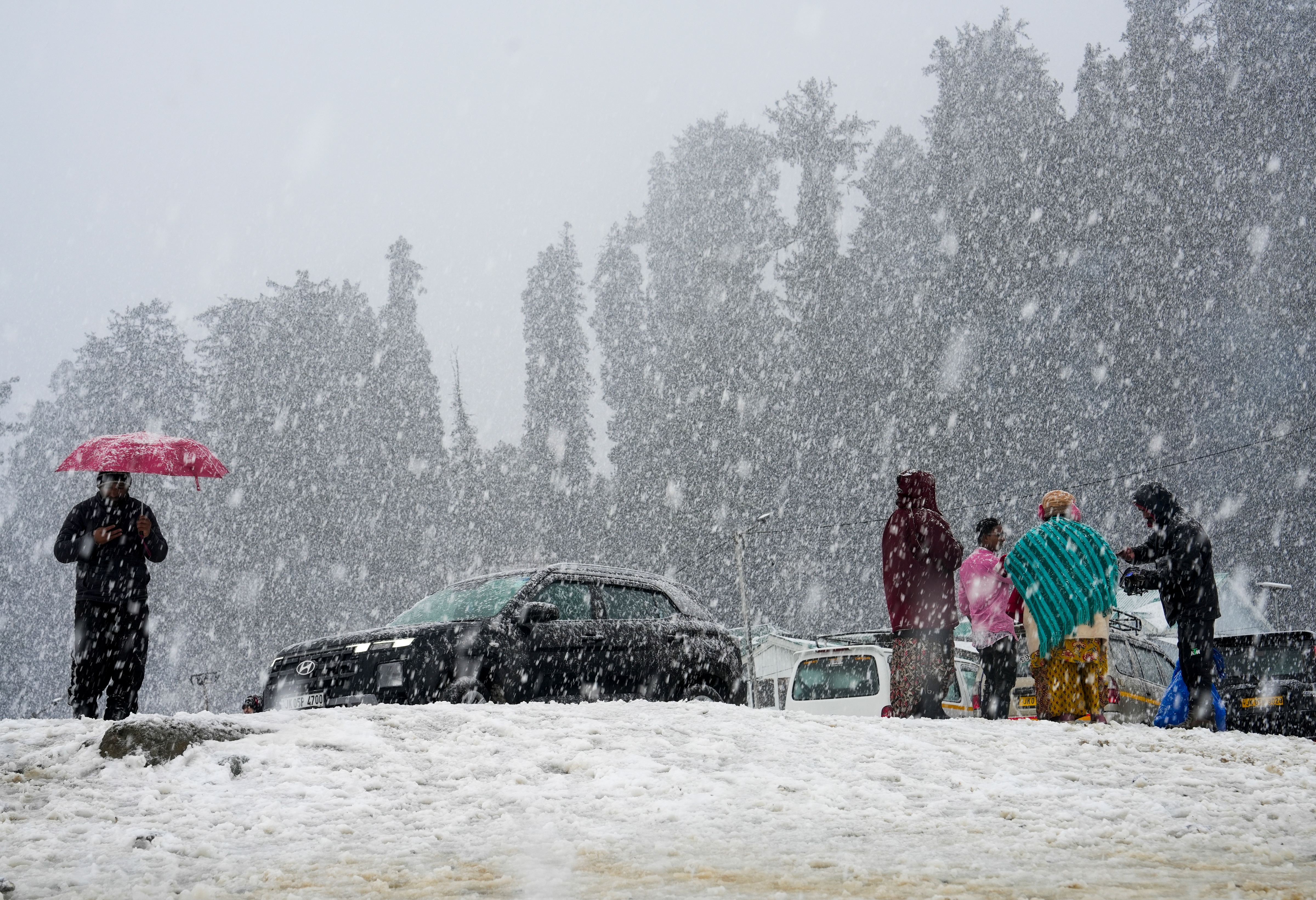 Kashmir Snowfall (Photo/PTI)