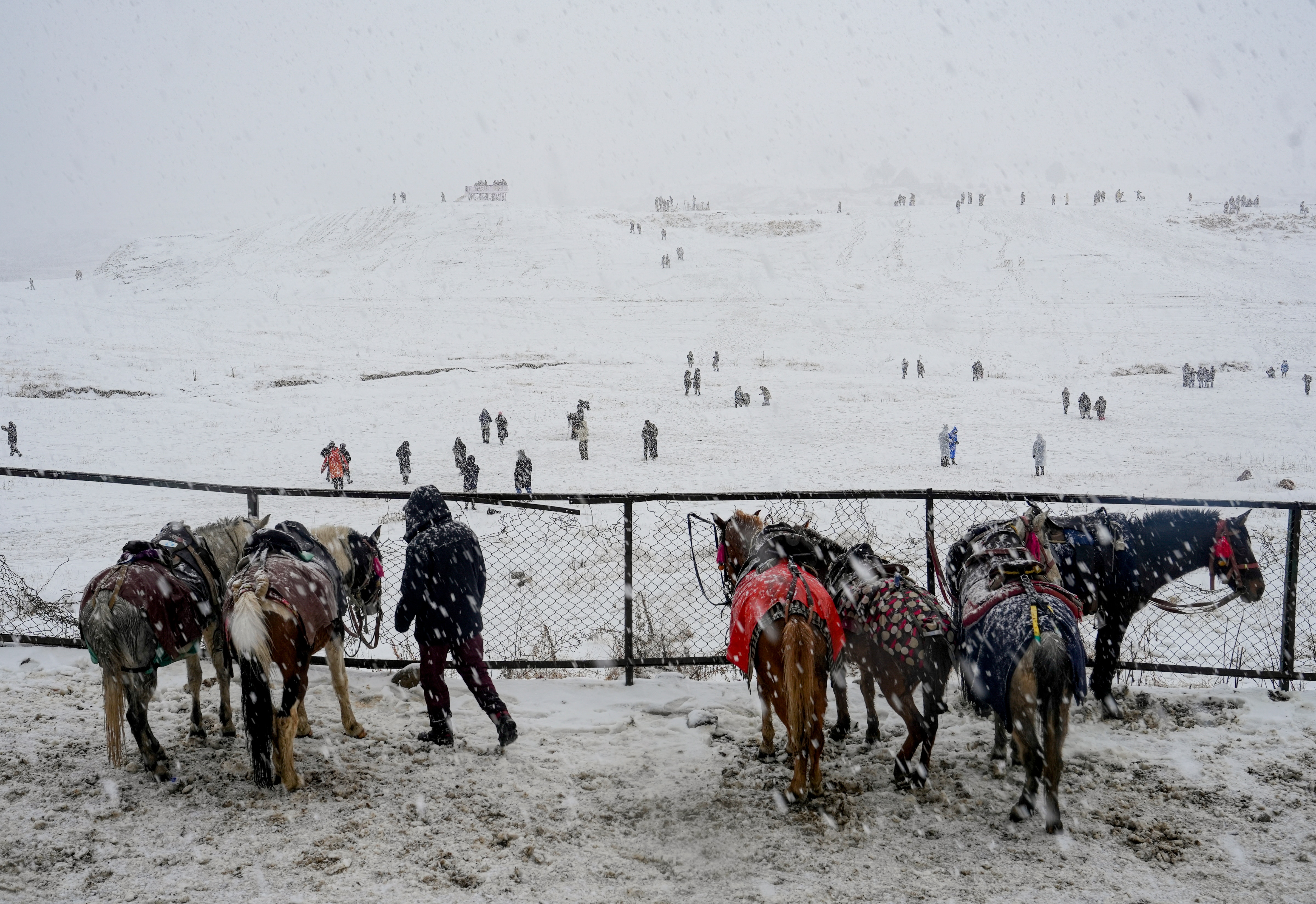 Kashmir Snowfall (Photo/PTI)