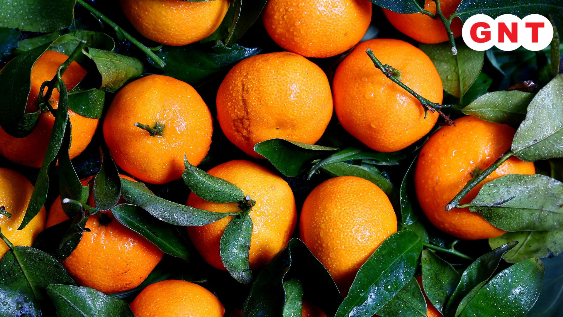 ऑरेंज स्मूदी 