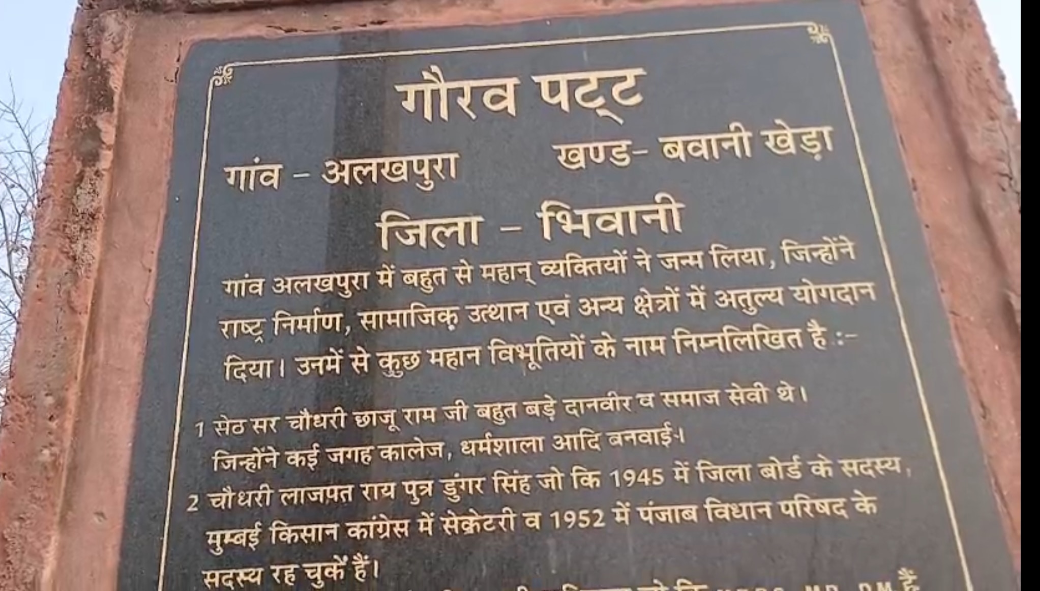 Bhiwani Mini Barazil 