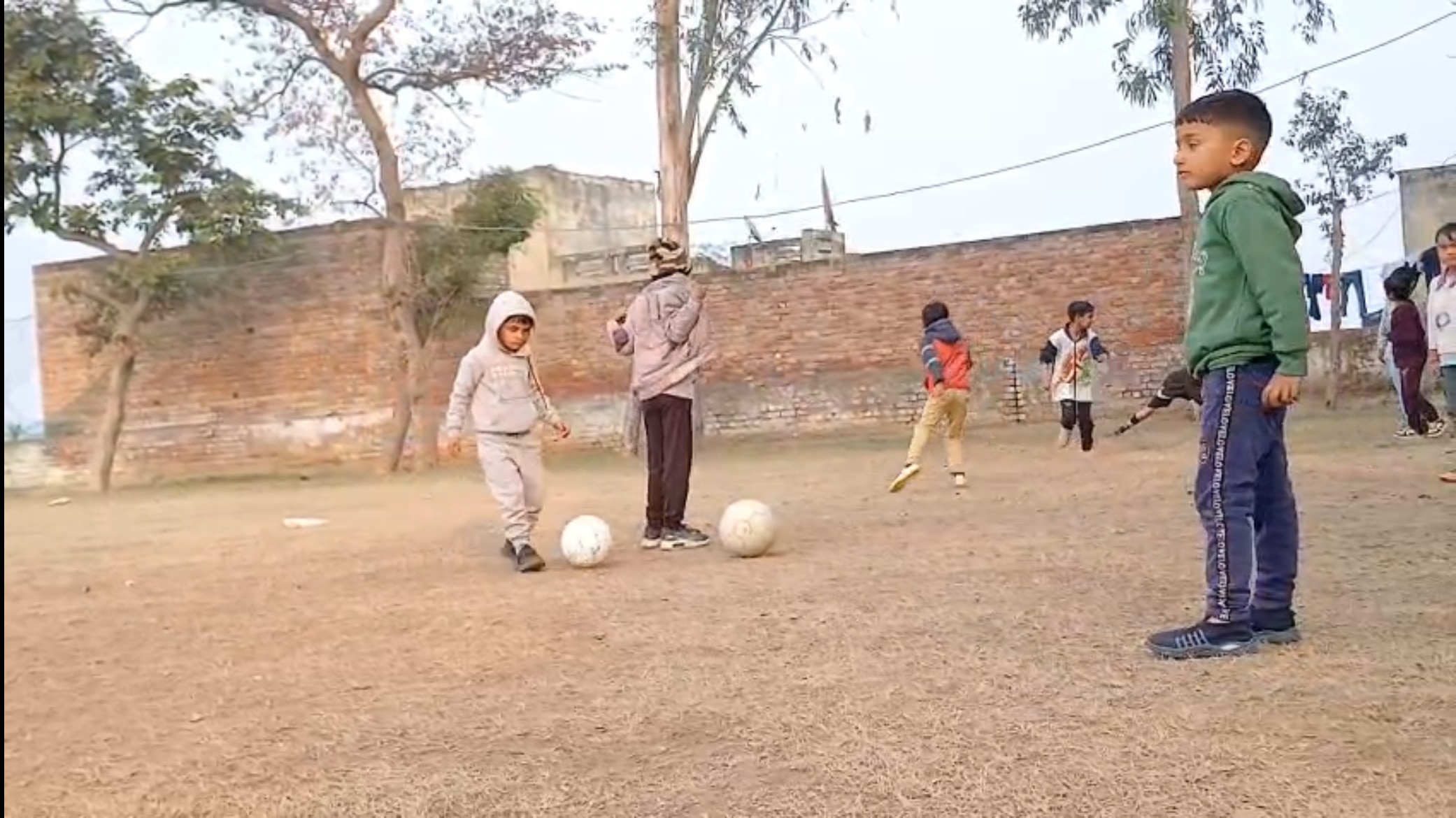 Bhiwani Mini Barazil 