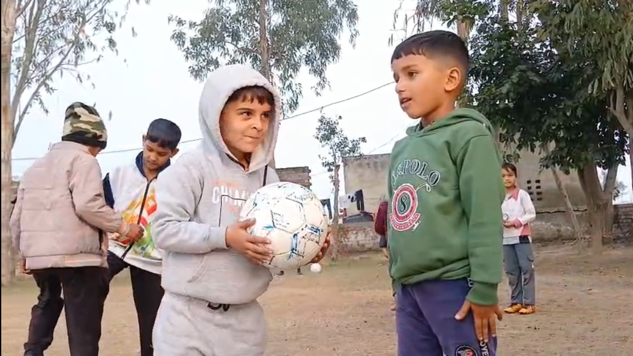 Bhiwani Mini Barazil 