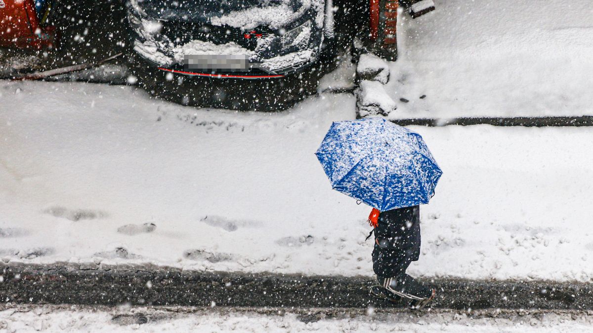 Snowfall (Photo/PTI)