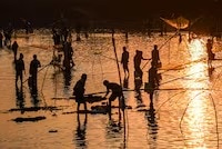 असम- माघ बिहू से पहले सामूहिक मछली पकड़ना