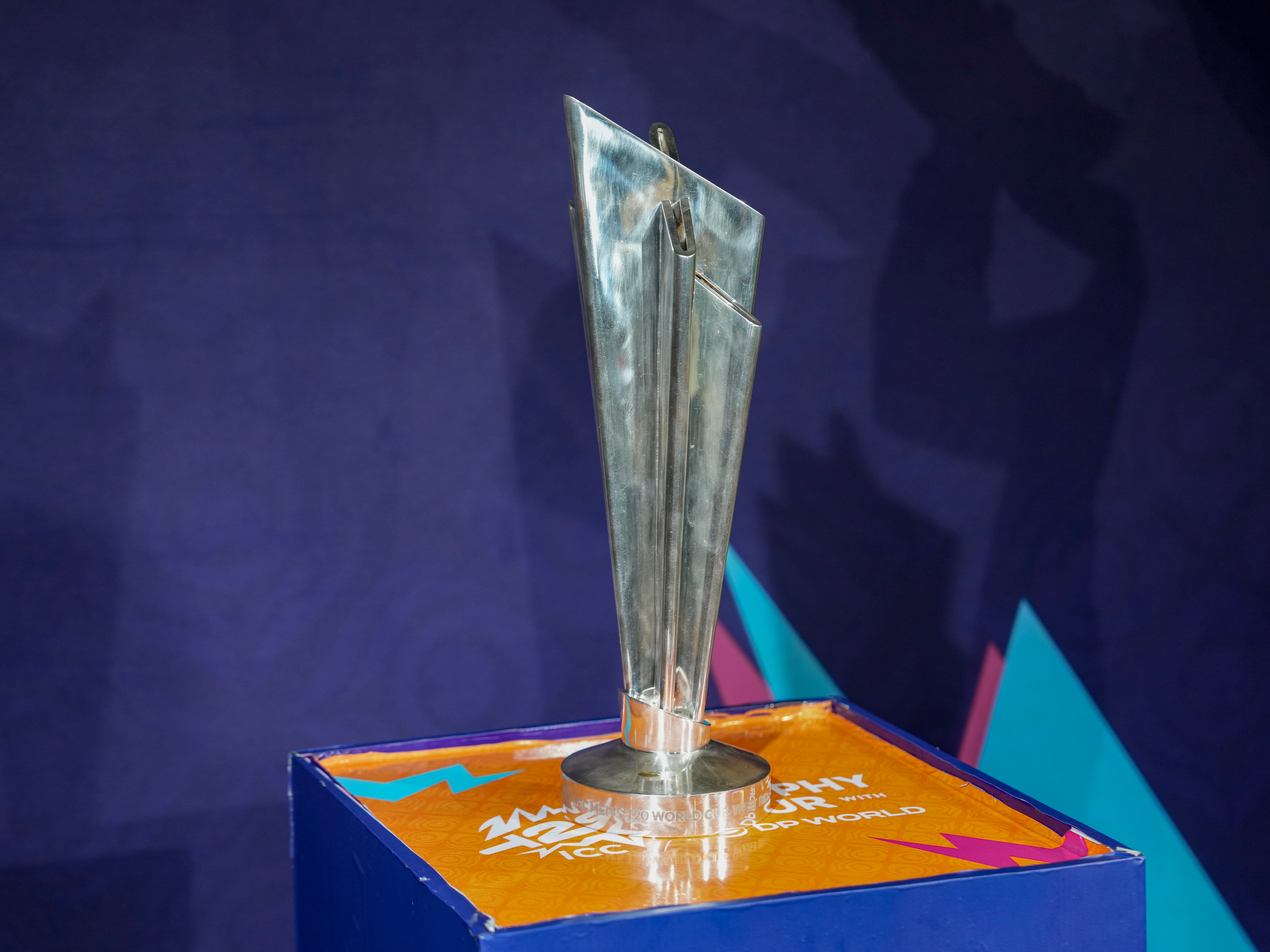 T20 World Cup 2026 (Photo/PTI)