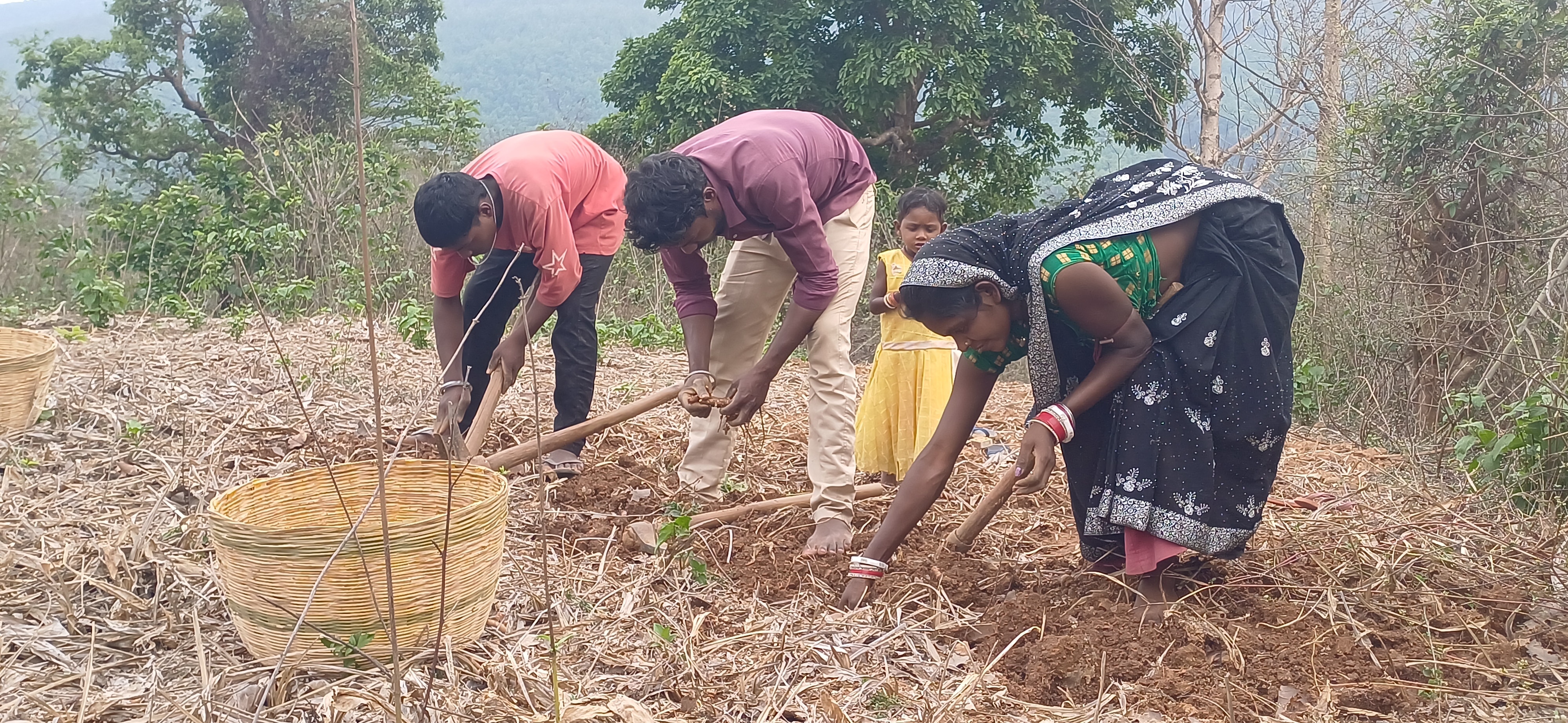 ग्राम प्रधान सुखदेव सरदार बताते हैं