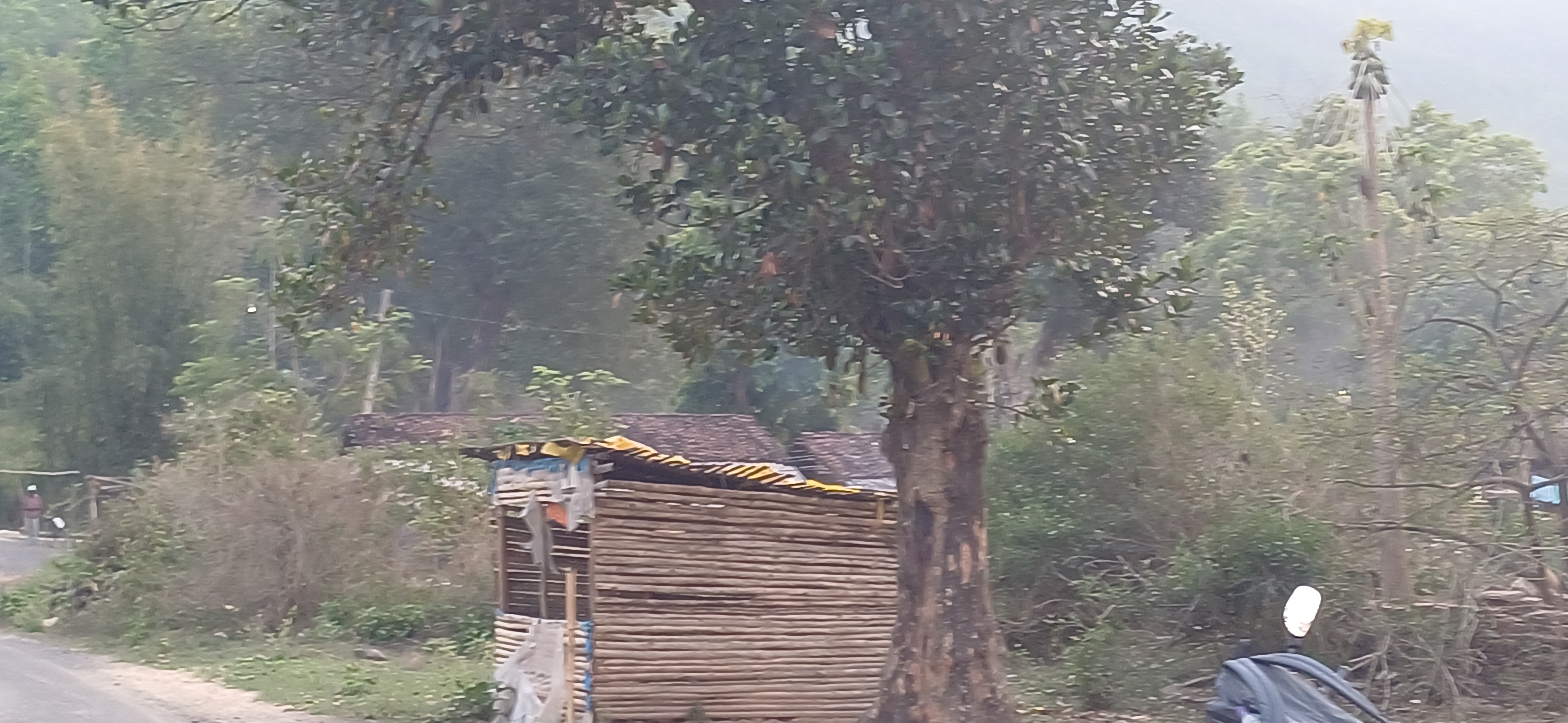 लक्ष्य है कि किसानों से थोक में खरीदारी हो और उन्हें एकमुश्त भुगतान मिल सके