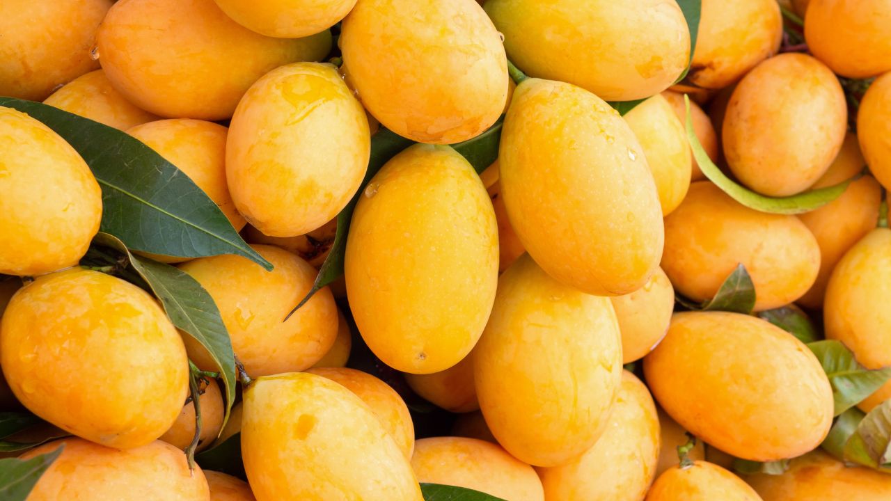 mango