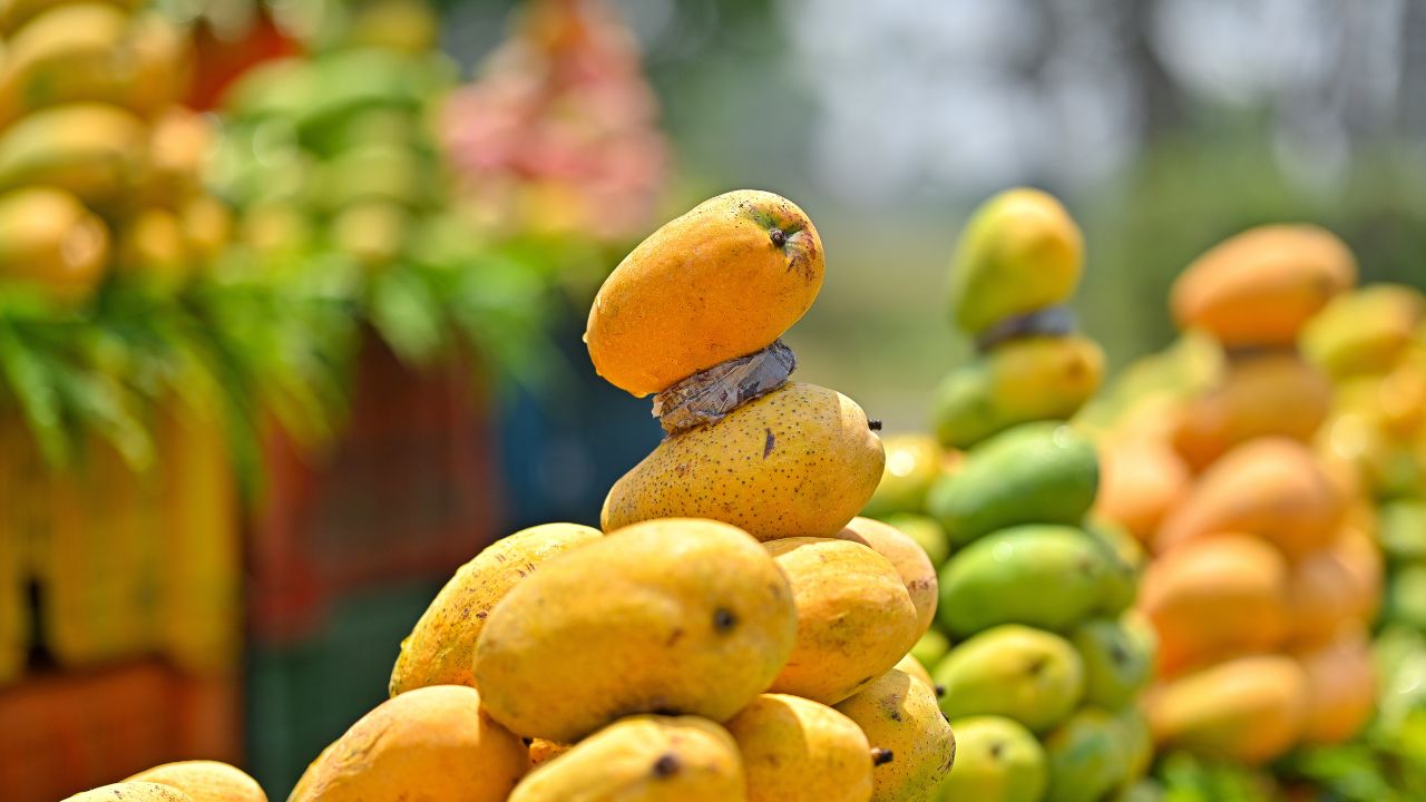 mango
