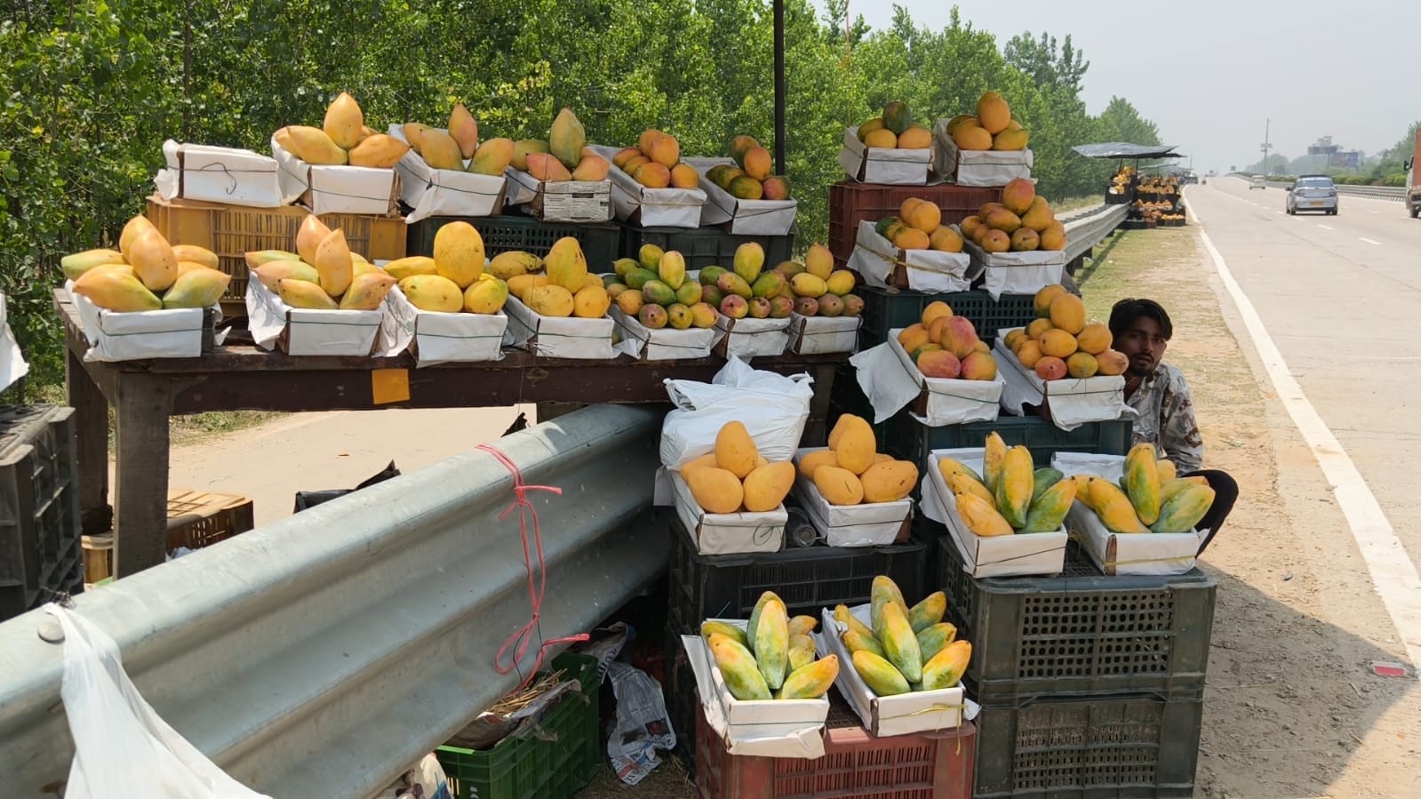saharanpur mango