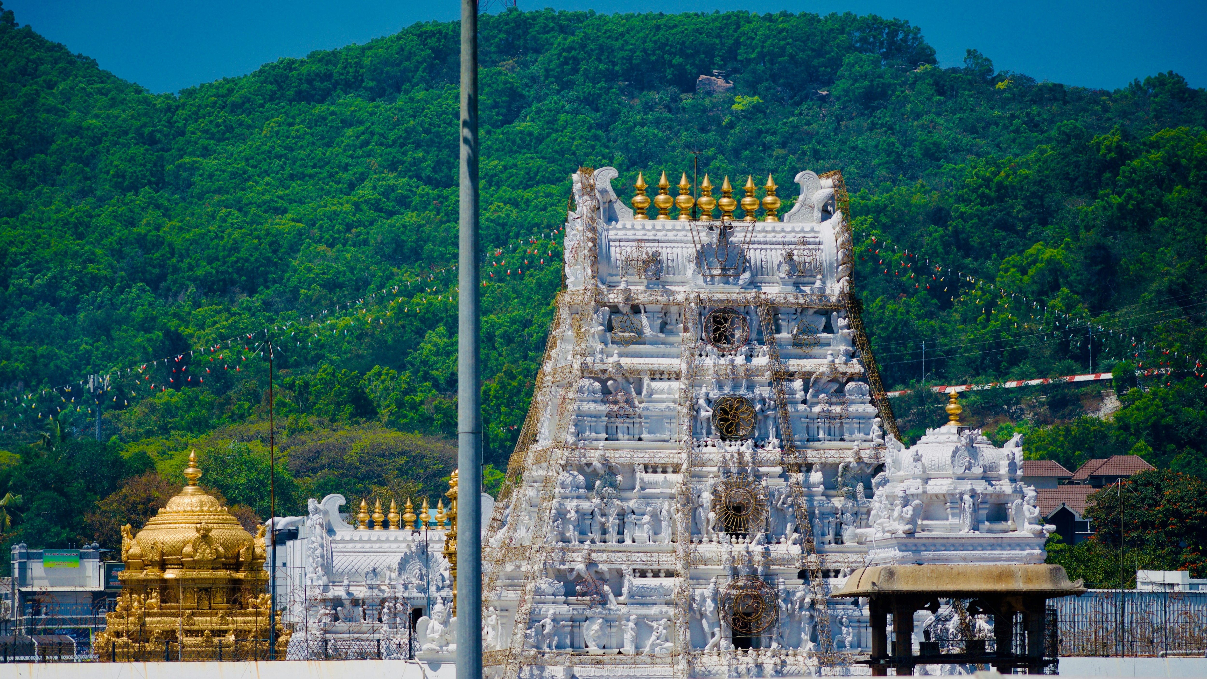 तिरुमला तिरुपति मंदिर