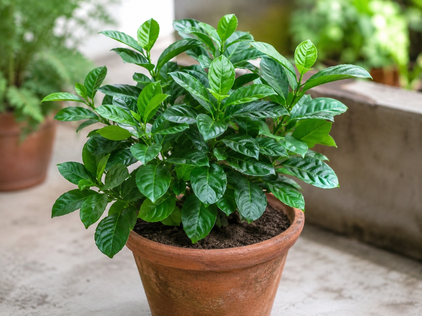 Plant Care tips (Photo/ChatGPT AI)