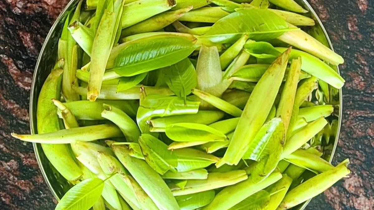फुटकल 