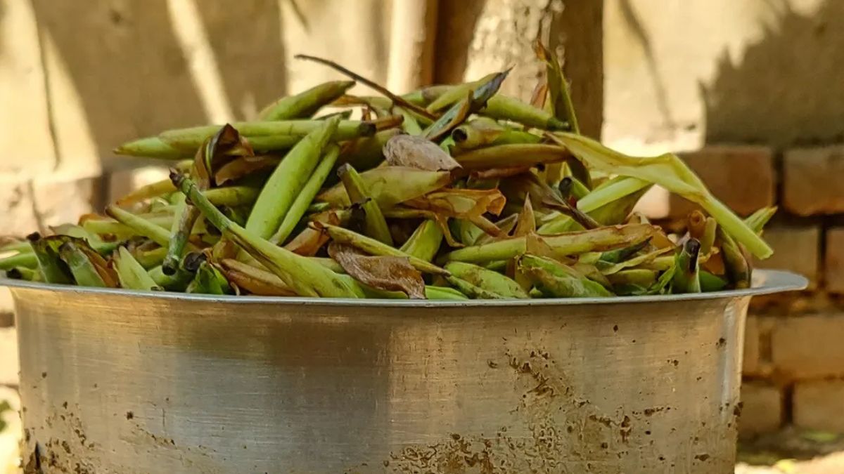 फुटकल 