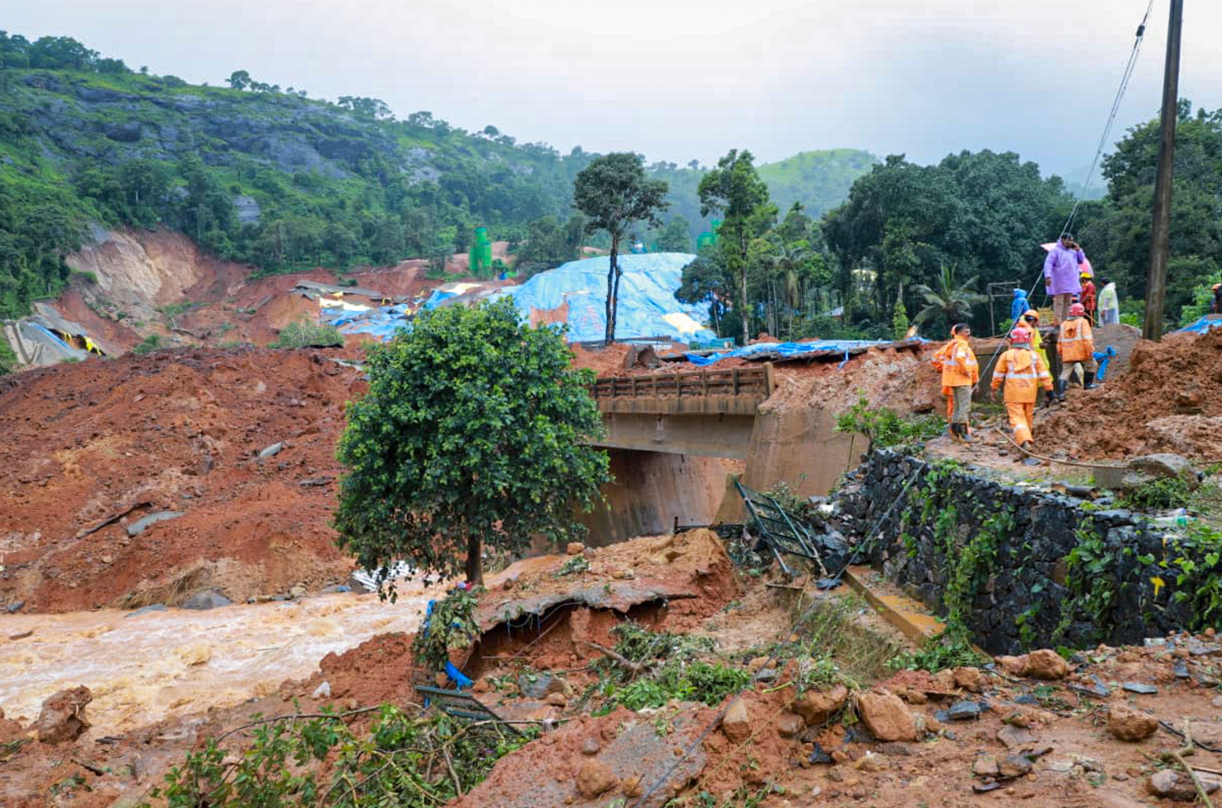 Wayanad Landslide (Photo/PTI)