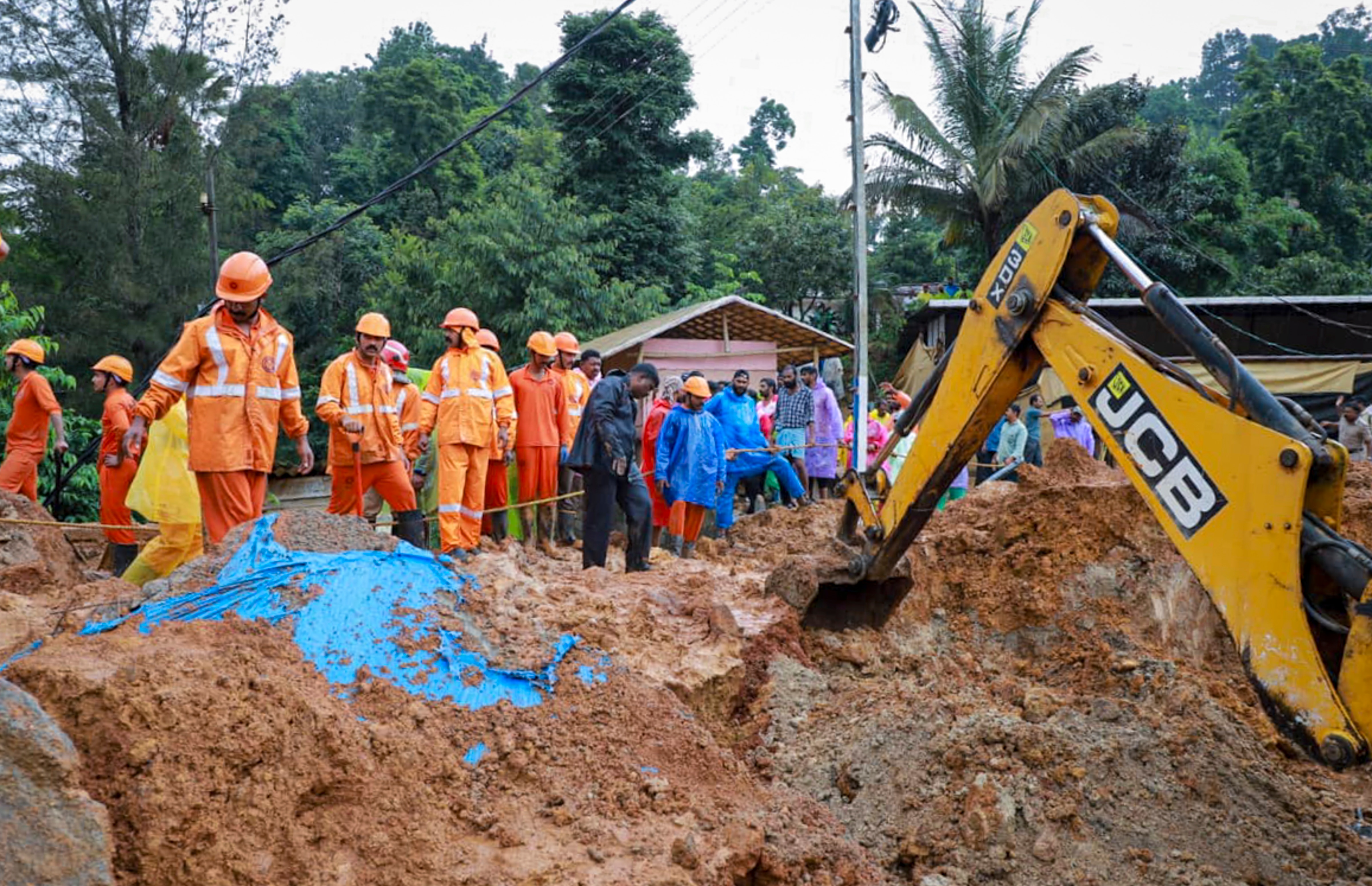 Wayanad Landslide (Photo/PTI)