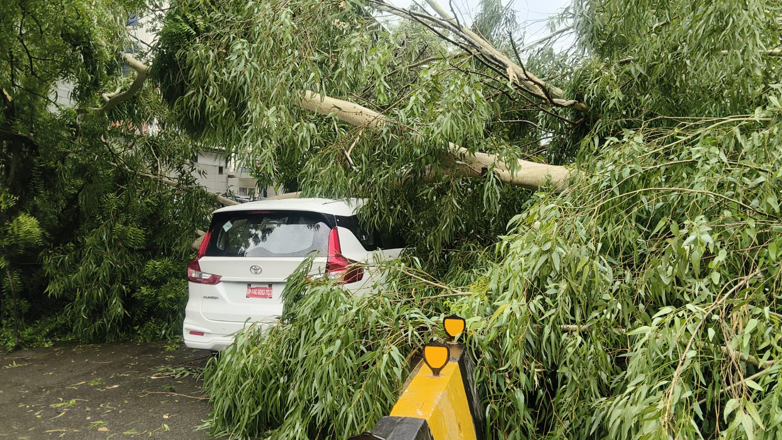 Delhi-NCR Rain