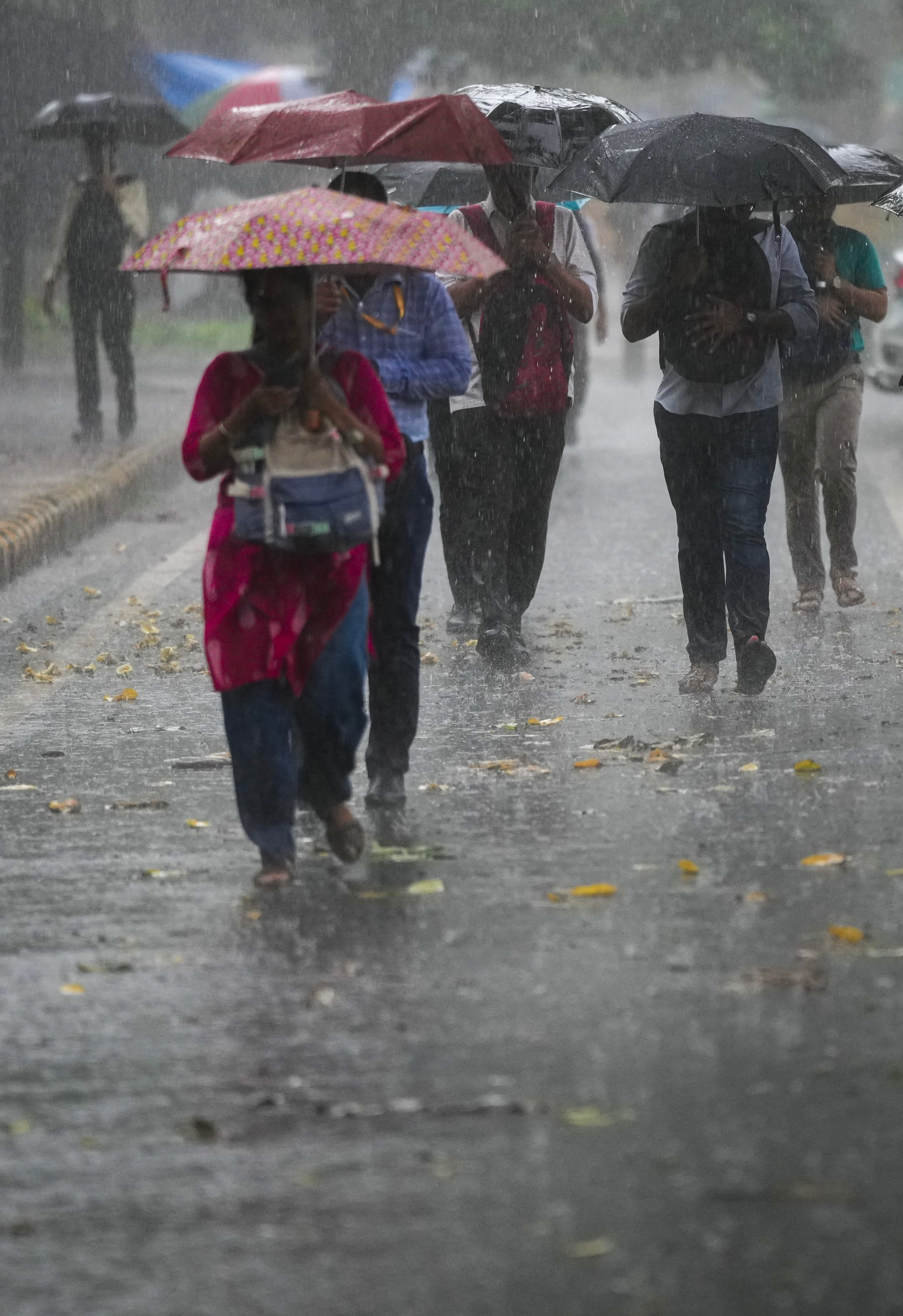 Delhi NCR Rain