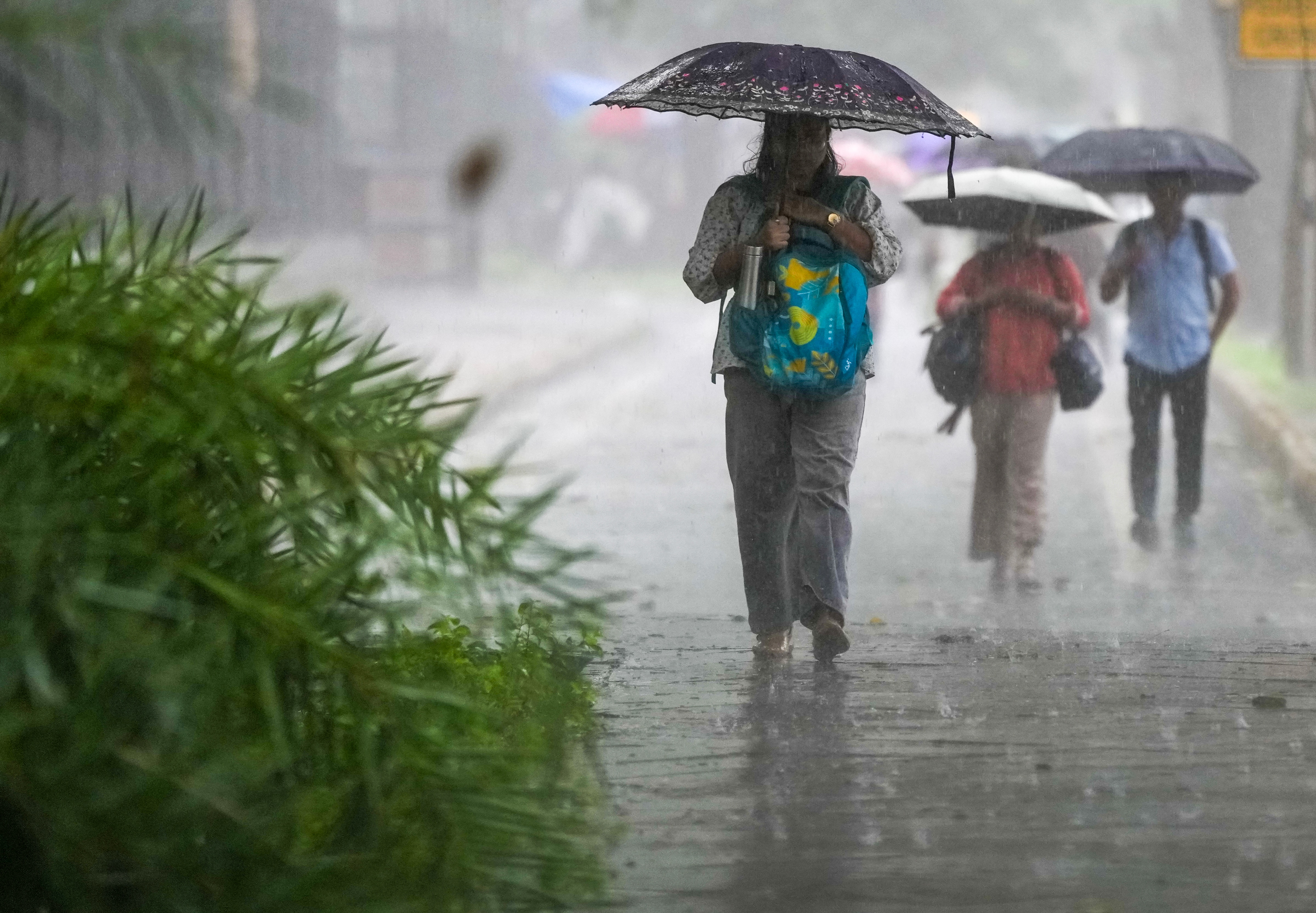Delhi NCR Rain