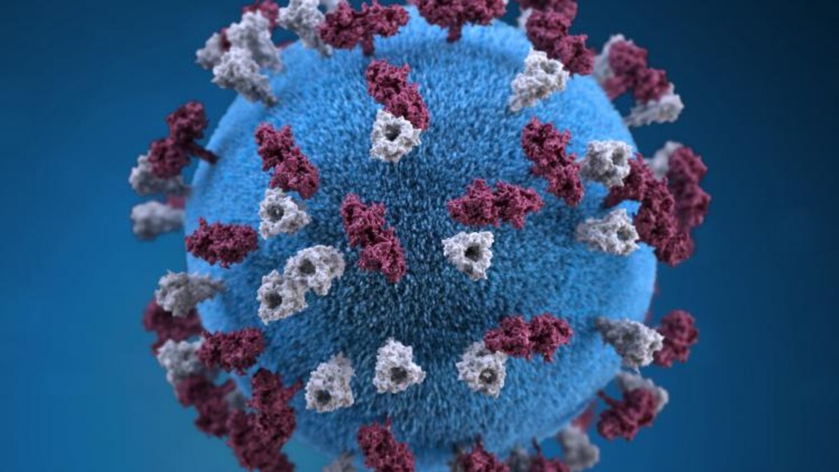 No case of new covid variant reported in India No case of new covid variant reported in India
