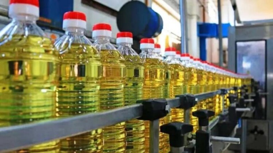 Palm Oil Palm Oil