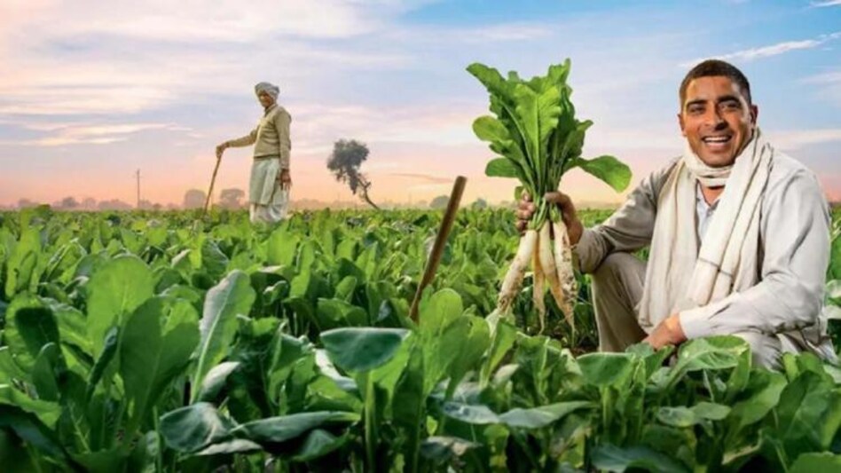 किसानों को बड़ी सौगात, कैबिनेट ने खरीफ की 17 फसलों के लिए MSP बढ़ाने का फैसला किया - Modi government approved to increase the MSP of 17 crops - GNT