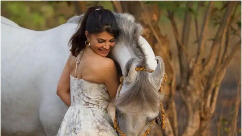 jacqueline fernandez jacqueline fernandez