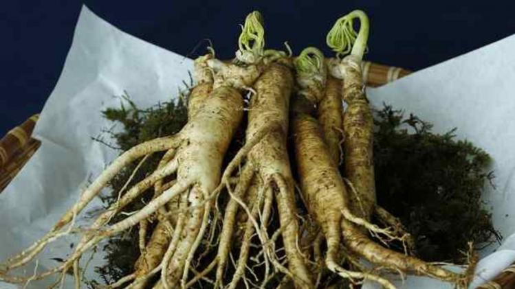 ये है दुनिया की सबसे महंगी जड़ी बूटी, उगाने में लगते हैं कई साल