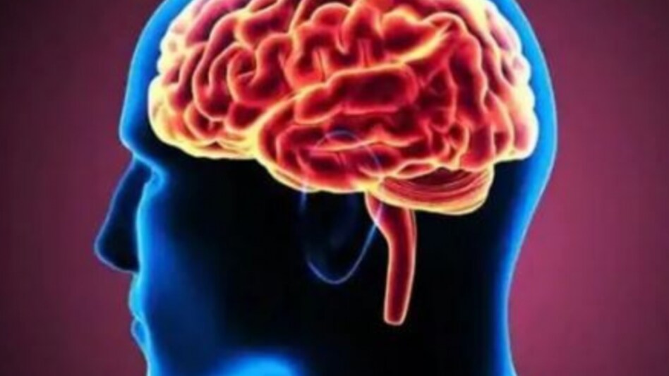 moderate levels of stress can help individuals develop resilience moderate levels of stress can help individuals develop resilience
