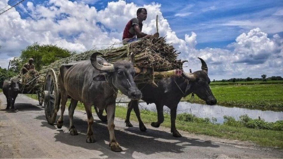 PM Kisan Yojana Update PM Kisan Yojana Update