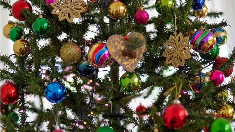 Christmas Tree: जानें क्रिसमस ट्री का क्या है इतिहास और महत्व ? - Learn the  history and importance of the Christmas tree, 25 December - GNT