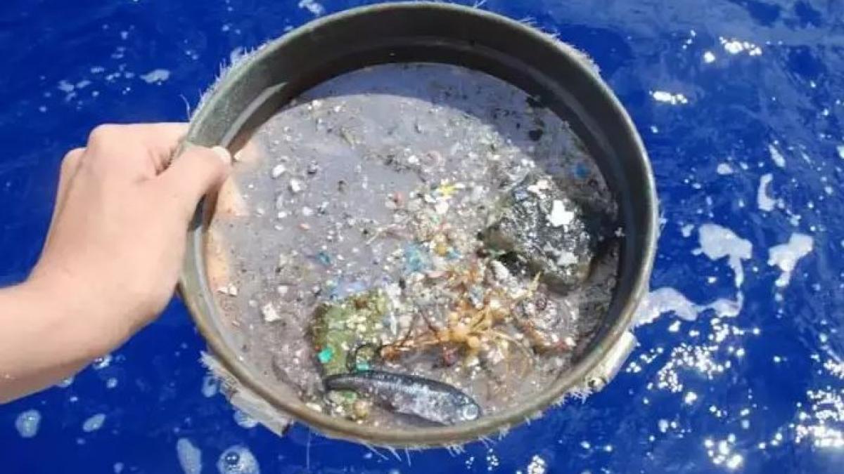 Plastic Rain पेरिस में होगी 'प्लास्टिक की बारिश'...रोजाना 50 किलो