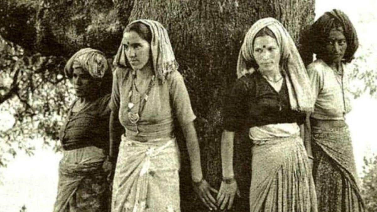 World Environment Day: पर्यावरण की रक्षा के ...