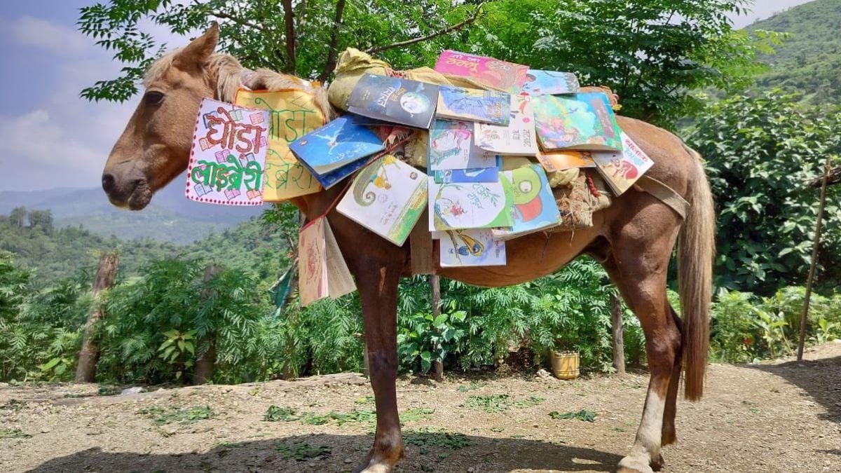 Exclusive: भारी बारिश के कारण पहाड़ों में बंद हुए स्कूल तो इस लाइब्रेरियन ने शुरू कर दी घोड़ा लाइब्रेरी ताकि सीखते रहें बच्चे - this librarian starts ghoda ...