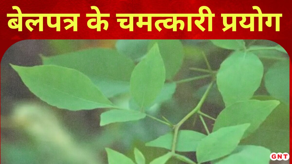 Sawan 2023 बेलपत्र के प्रयोग से दूर होगी परेशानी और पूरी होगी हर