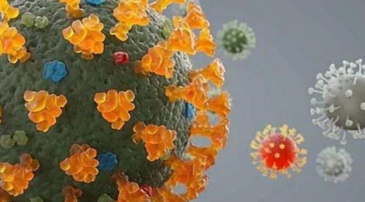 ગુજરાતમાં બે દિવસથી વધી રહ્યા છે કોરોનાના કેસઃ અમદાવાદમાં સૌથી વધારે covid