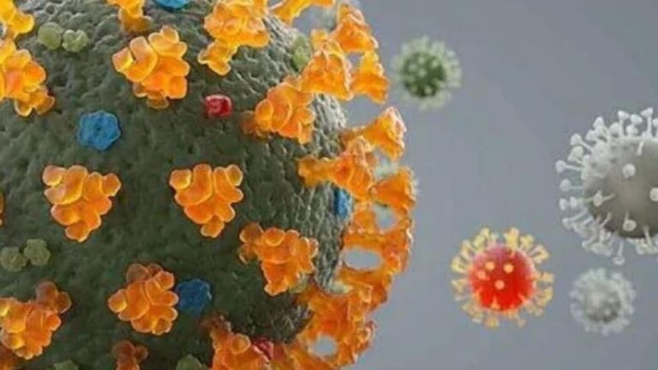 ગુજરાતમાં બે દિવસથી વધી રહ્યા છે કોરોનાના કેસઃ અમદાવાદમાં સૌથી વધારે covid