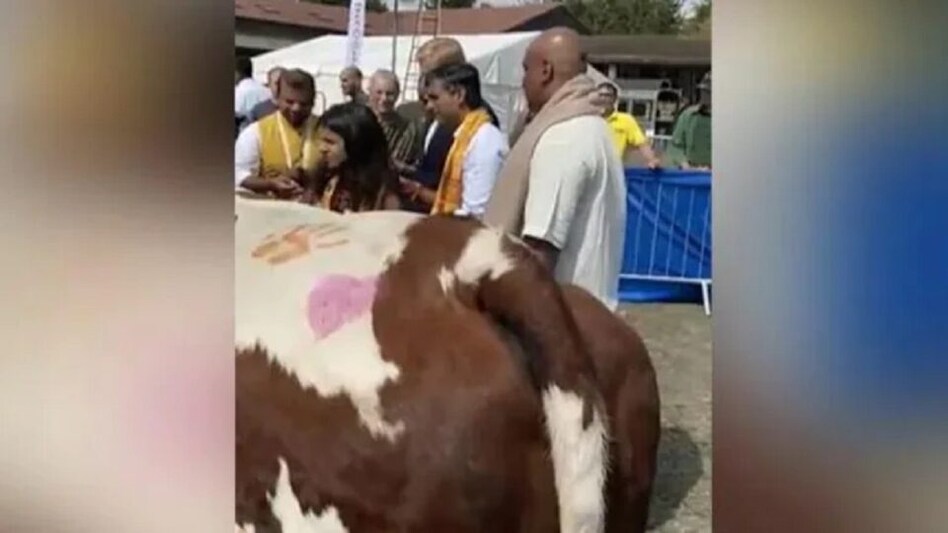 બ્રિટનના PM પદના ઉમેદવાર ઋષિ સુનકે ગૌ પૂજાની પૂજા કરી, વીડિયો વાઈરલ gujarattak