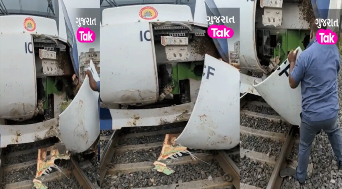 EXCLUSIVE: રખડતા ઢોર વંદે ભારત એક્સપ્રેસને પણ નડ્યા, જો કે કોઇ ઇજાના સમાચાર નથી gujarattak