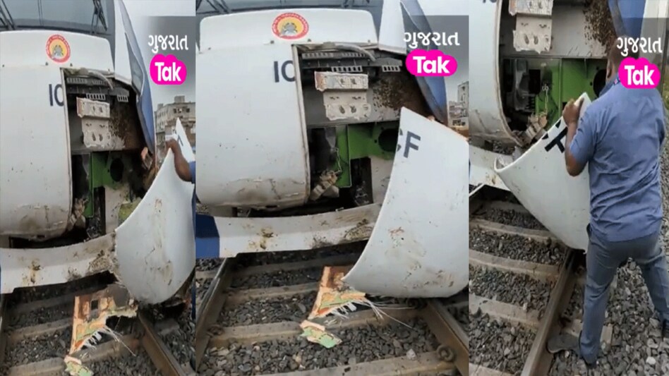 EXCLUSIVE: રખડતા ઢોર વંદે ભારત એક્સપ્રેસને પણ નડ્યા, જો કે કોઇ ઇજાના સમાચાર નથી gujarattak