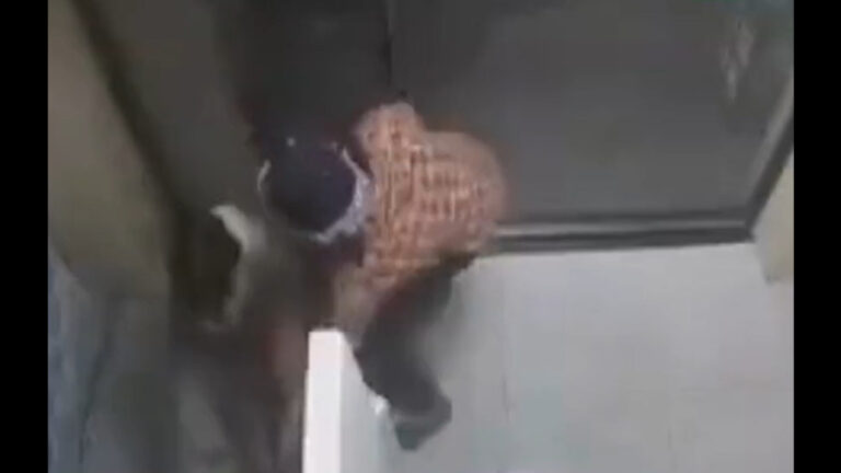 સુરતઃ ATM તોડવા ચોરોએ કરી ભારે મહેનત, જુઓ Video, આખરે થયા નિષ્ફળ, પછી? gujarattak