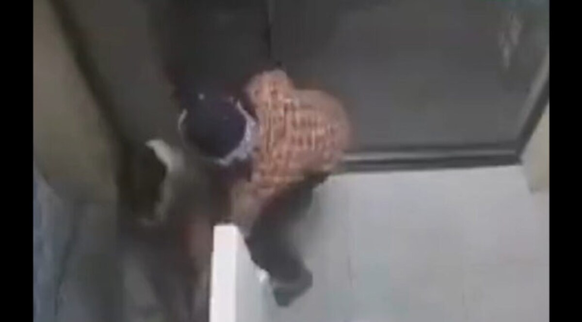 સુરતઃ ATM તોડવા ચોરોએ કરી ભારે મહેનત, જુઓ Video, આખરે થયા નિષ્ફળ, પછી? gujarattak