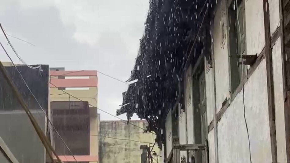 ભર શિયાળે વરસાદ: વડોદરા, આણંદ, અરવલ્લી સહિતના જિલ્લામાં ગાજવીજ સાથે વરસાદ, ખેડૂતો ચિંતિત gujarattak