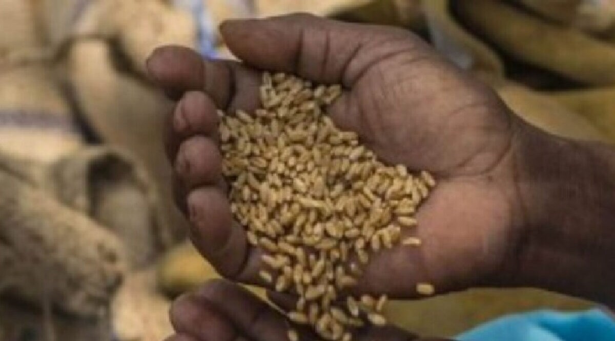 PMGKAY ફ્રી રાશન યોજના 7 વખત લંબાવવામાં આવી, જાણો કેટલો થયો ખર્ચ અને બજેટની જાહેરાત gujarattak