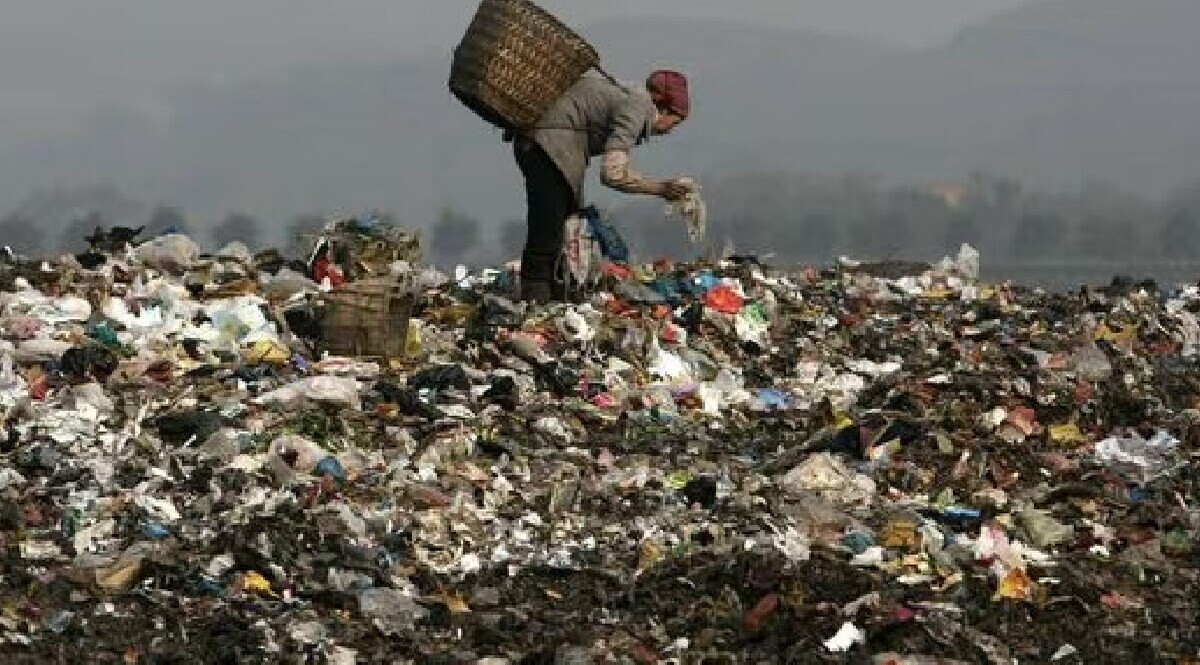 કચરાના ઢગલામાંથી મળી આવેલી વસ્તુ અમદાવાદના યુવકને વેચવી પડી ભારે, પોલીસે કરી ધરપકડ gujarattak