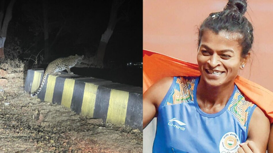 ગોલ્ડનગર્લ સરિતા ગાયકવાડને ડાંગમાં દીપડાનો થયો અનુભવઃ VIDEO gujarattak