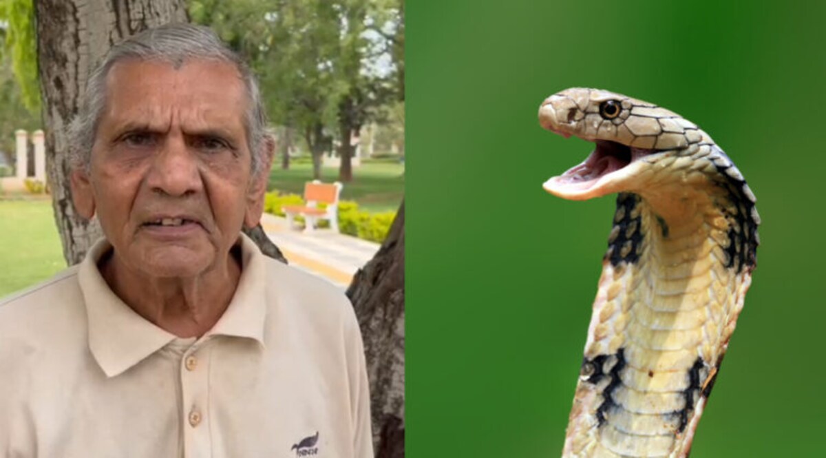 અંબાલાલ પટેલે કરી મોટી આગાહીઃ 17 જુન પછી સાપ કરડવાના બનાવો વધવાની શક્યતા gujarattak