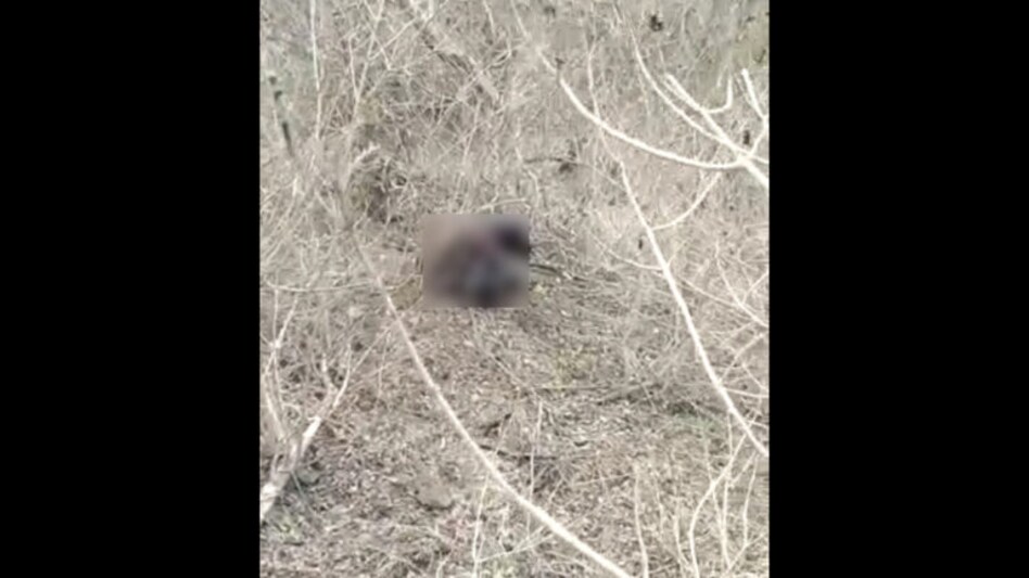 અમરેલીઃ આંબરડી સીમ વિસ્તારમાંથી મળી લાશ, જંગલ વિભાગના ટ્રેકરે કરી પોલીસને જાણ gujarattak