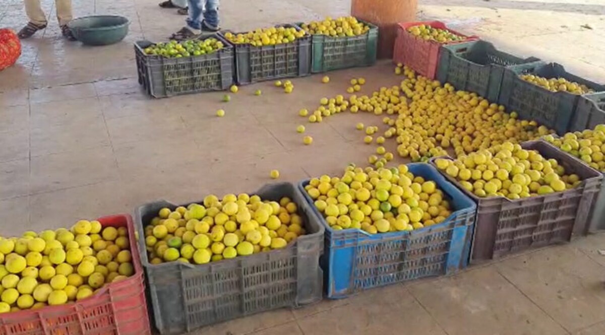 માવઠાની આગાહીની અસરઃ ભાવનગરમાં ચિત્રા માર્કેટિંગ યાર્ડ 11મી સુધી બંધ gujarattak