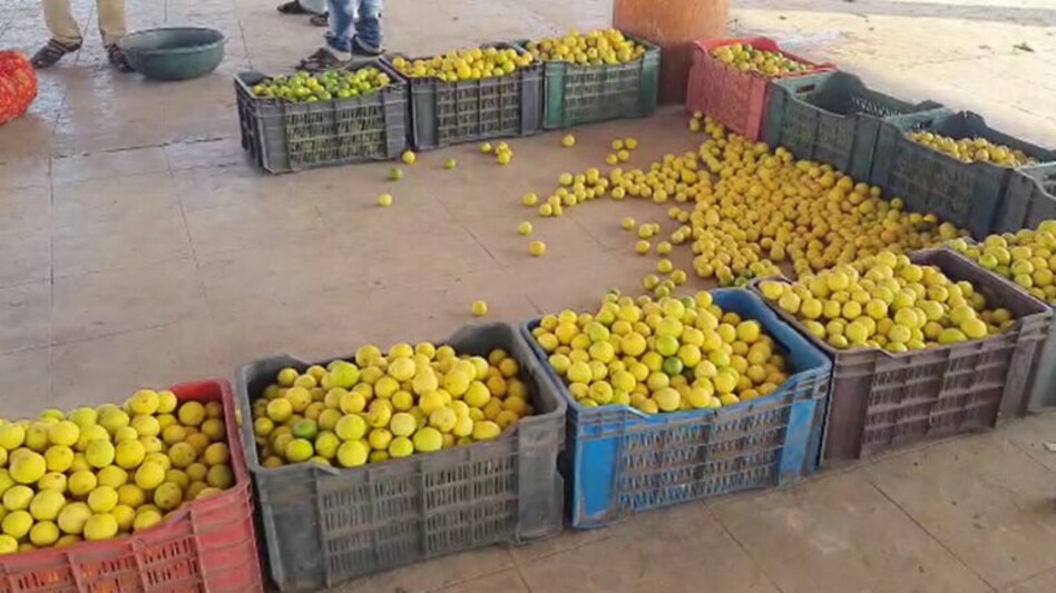 માવઠાની આગાહીની અસરઃ ભાવનગરમાં ચિત્રા માર્કેટિંગ યાર્ડ 11મી સુધી બંધ gujarattak